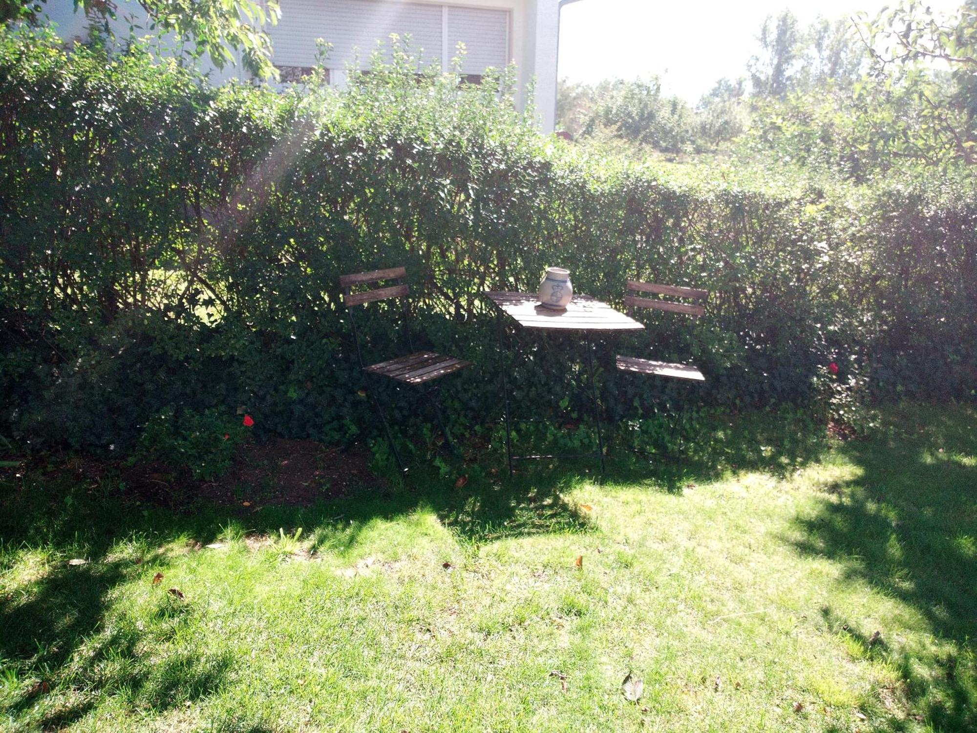 Ferienwohnung Schwalbennest Sommerach Eksteriør billede